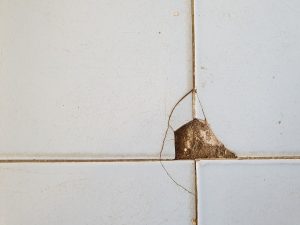 cracked tile repair in St Louis