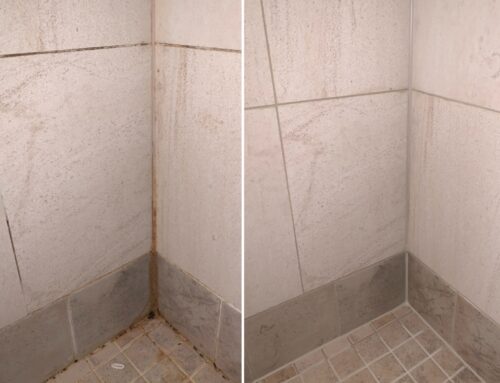 Grout Cleaning as Part of Spring Cleaning in Des Peres